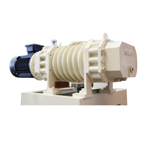 Roots vacuum pump